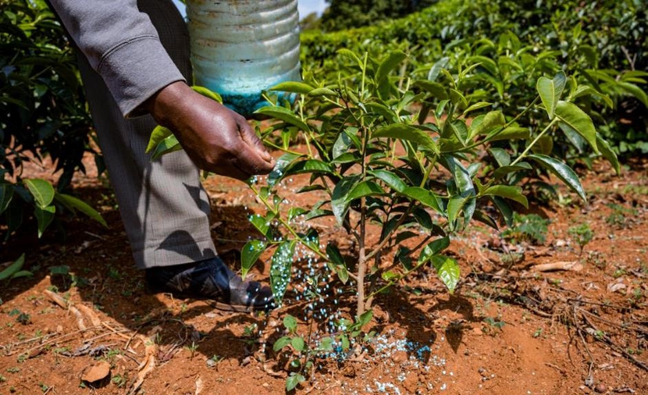 Mineral Fertilisers for Agriculture