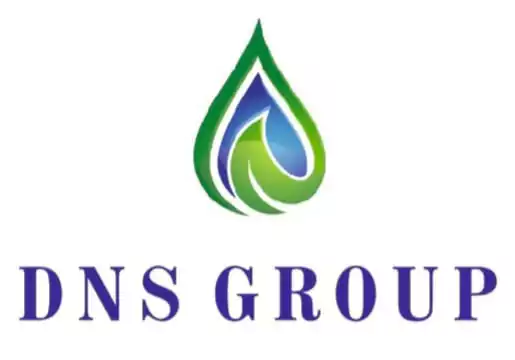 DNS GROUP